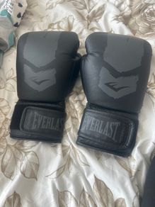 Everlast boxing gloves
