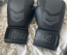 Everlast boxing gloves