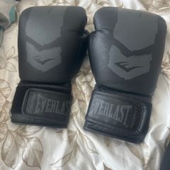 Everlast boxing gloves