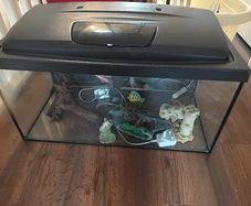 fish tank