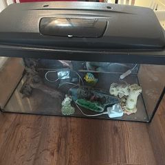 fish tank