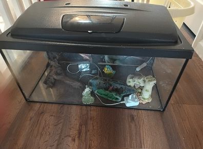 fish tank