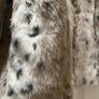 Fur Coat New Image 2