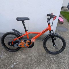 kids bi