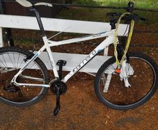 mountain bike
