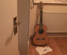 Salvador Guitar