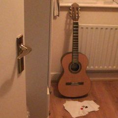 Salvador Guitar