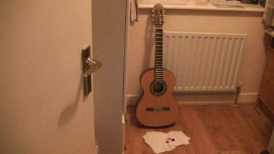 Salvador Guitar