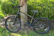 Frenzy Mountain Bike