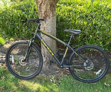 Frenzy Mountain Bike