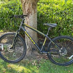 Frenzy Mountain Bike