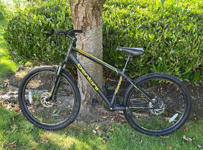 Frenzy Mountain Bike