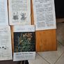 1960s Department Of Agricultural Booklets On Farming. Topics Such As Patato Growing,planting Forest Trees,desease Control And Others. In Good Condition.  See Photos For Same. Image 2