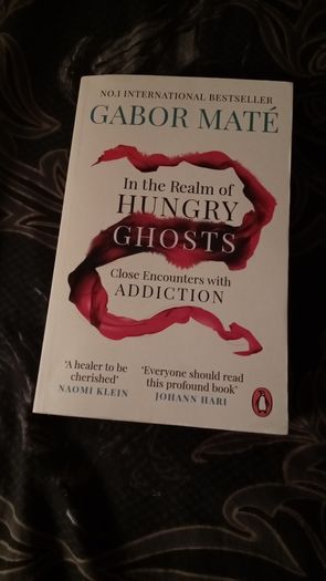 Gabor Mate - In the Realm of Hungry Ghosts (Addiction)