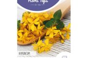 HT St. John's Wort Seeds 0.3g Klamath Weed seeds | Sow in July