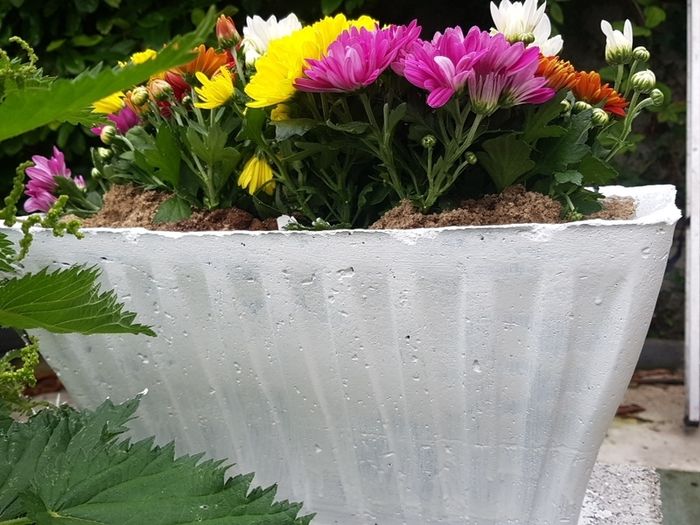 Flower Pot