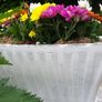 Flower Pot Image 4