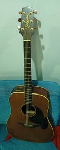 Takamine EN10