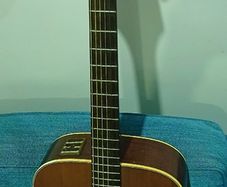 Takamine EN10