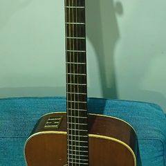 Takamine EN10