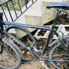 Trek FX2 men's hybrid