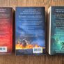 The Brethren Trilogy by Robyn Young Image 2