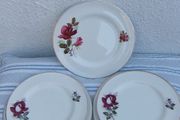 Arklow Pottery Autumn Rose Plates x 6 + 3
