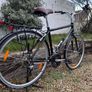 Trek Allant Trekking Bike Image 4
