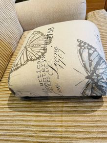 Foot/Arm Support Cushioned Stool