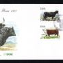 Collection 1987 Ireland Commemorative Stamps An Post First Day Cover (FDC). Collection of 8 covers. Image 6