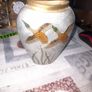 Beautiful Old Heavy Brass Cloisonne Vase Enameled Two Flying Ducks with Aquatic Plants, these are often dating from around 1900, Postage Available Image 2