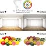 GU10 LED Bulbs, 5W Dimmable Colour Changing Spot Light Bulb with Remote, RGB+ Warm White (2700K), Timing, Double Memory (4 Pack) [Energy Class A+] Image 5