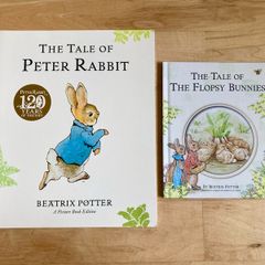 2 Peter Rabbit books new