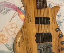 traben Array limited edition bass with case