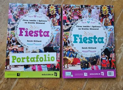 Fiesta secondary school book ( irish version )