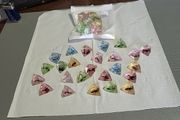 Insects in lucite pyramids