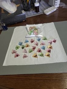 Insects in lucite pyramids