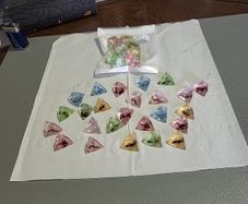 Insects in lucite pyramids