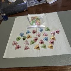 Insects in lucite pyramids