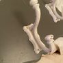 ShabbyChic Hooks..Heavy Quality Image 2