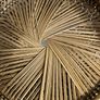 wicker chair Image 3