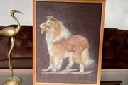 Vintage Late Mid Century Unique Real Fur Collie Dog Framed Wall Art Rustic Decor