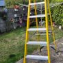 Werner 8 thread Fibreglass Ladder Image 3