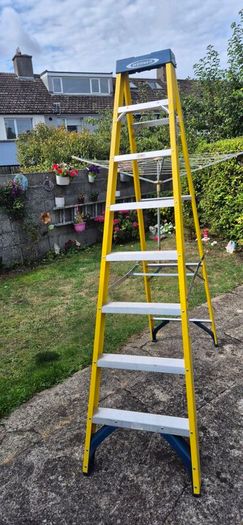 Werner 8 thread Fibreglass Ladder
