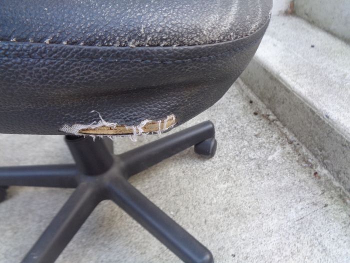 Swivel Office Chair for Sale