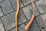 dog collar