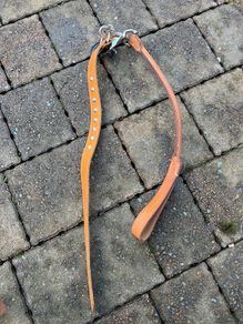 dog collar