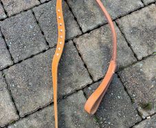 dog collar