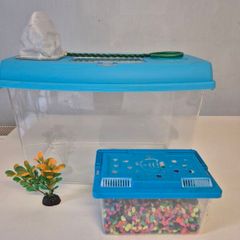Starter Goldfish Tank