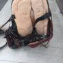 Western Saddle  Tack Job Lot  Big Horn Saddle, Bridle, Spurs, Pads Image 3